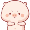 CERDITO bonito 13