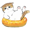 Gatitos Food Kawaii 10