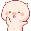 CERDITO bonito 15