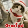 Gracias!