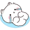 Lovely Fluffy Cat 1 7