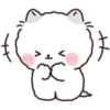 Lovely Fluffy Cat 1 8
