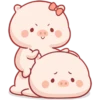 CERDITO bonito 16