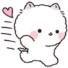Lovely Fluffy Cat 1 9