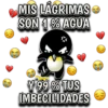 Pingüino nojao 17