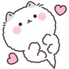 Lovely Fluffy Cat 1 10