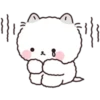 Lovely Fluffy Cat 1 11