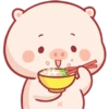 CERDITO bonito 17