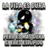 Pingüino nojao 21
