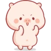 CERDITO bonito 18