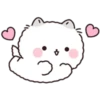 Lovely Fluffy Cat 1 13