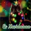 Es Xavidaaaa