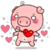 lindo cerdito1 14