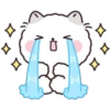 Lovely Fluffy Cat 1 14