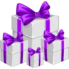 Navidad Purple #2 23