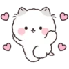 Lovely Fluffy Cat 1 16
