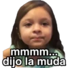 Variados Memes 17