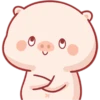 CERDITO bonito 19