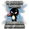 Pingüino nojao 24