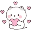 Lovely Fluffy Cat 1 18