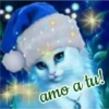 amo a tu!