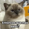 Michis  ‍ 1 20