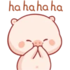 CERDITO bonito 20