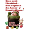 Navidad bebés ️ 1mov. 24