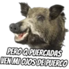Variados Memes 23