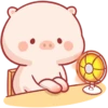 CERDITO bonito 21
