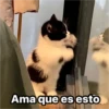 Michis  ‍ 1 22
