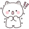 Lovely Fluffy Cat 1 23