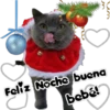 Feliz Noche buena
bebé!