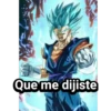 Que me dijiste