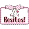 Rabbit Kaomoji  (Melissa) 25