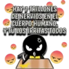 Pingüino nojao 28
