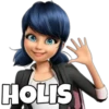HOLIS