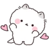 Lovely Fluffy Cat 1 27