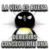Pingüino nojao 30