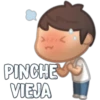 2.
PINCHE
VIEJA