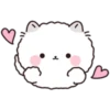 Lovely Fluffy Cat 1 28