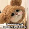 Michis  ‍ 1 27