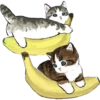 Gatitos Food Kawaii 23