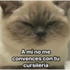 Michis  ‍ 1 28