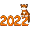 2022 Año del Tigre 27