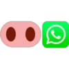 ·•