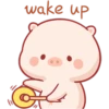 CERDITO bonito 23