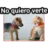 Gato & Perro 1 8