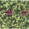 RRAT 6