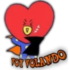 V
FOT VOLANDO